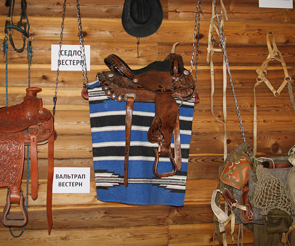 Equestrian age Live Horse and Equestrianism Museum in Irkutsk