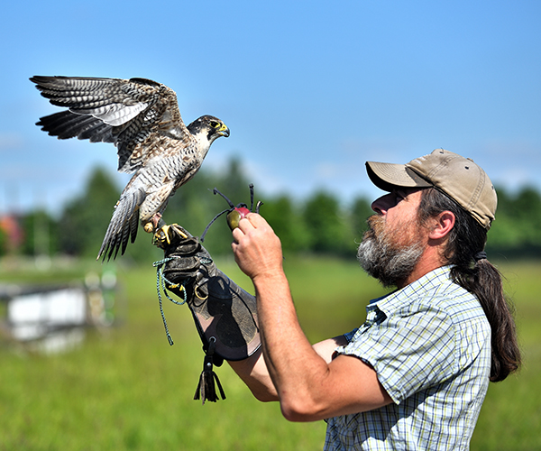 Falconry Museum at the Falconry Center of Konstantin Sokolov