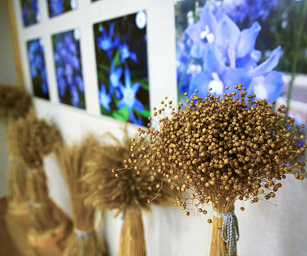 “Flax Province” Flax and Hemp Museum